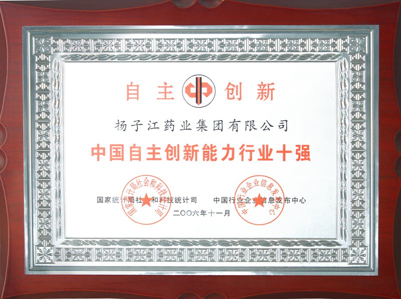 中國自主創(chuàng)新能力行業(yè)十強(qiáng)（2006）